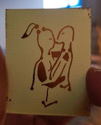 20190227_140134_1_.jpg