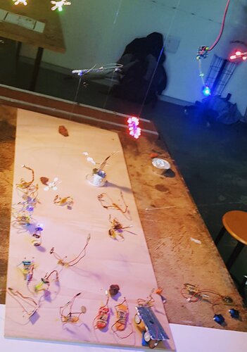 20190228_113451.jpg