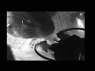 sequence-01_1.gif